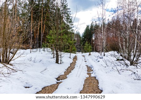 A road in the forest covered by snow in the end of winter. Spring is coming