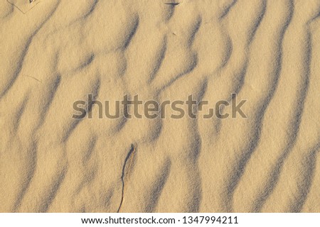 Sand background texture - Image