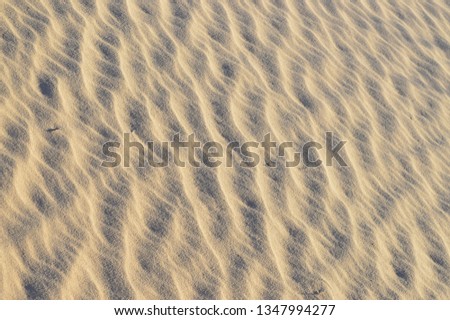 Sand background texture - Image