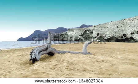 indiana Jones movie stage and the last crusade, tongues of lava eroded by the sea, the auto clastic gaps or pyroclastic andesite, The petrified wave, beach of Mónsul, Natural Park, Cabo de Gata, spain Royalty-Free Stock Photo #1348027064
