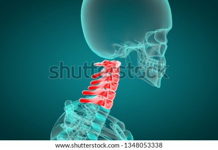 3D illustration of cervical vertebra, human anatomy, xray