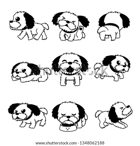 Cartoon character cute shih tzu dog poses for design.