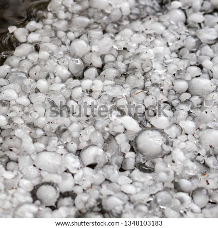 hailstones on the ground after hailstorm, hail of great size, hail sized with a larger coin