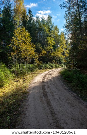 empty gravel road in autumn in countryside in perspective forest with trees