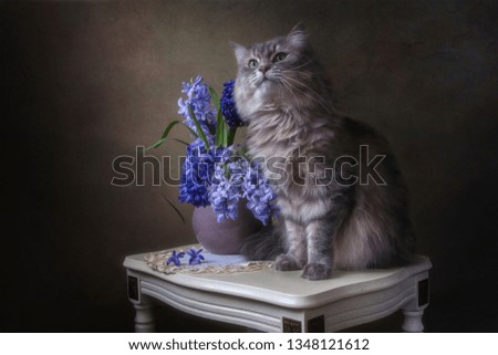 Still life with bouquet of hyacinths and cute gray kitty