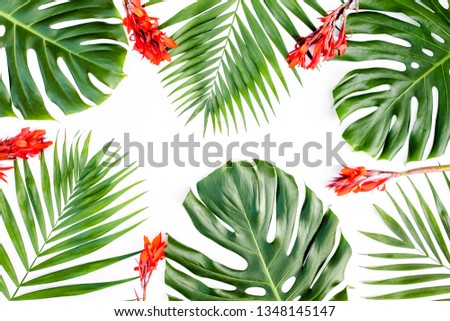 Tropical green palm leaves Monstera on white background. Flat lay, top view