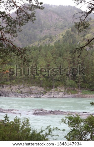 View of the Katun River. Altai Republic, Russia. Beautiful nature of the Altai Republic. Beautiful landscape with a turquoise river and the Altai Mountains