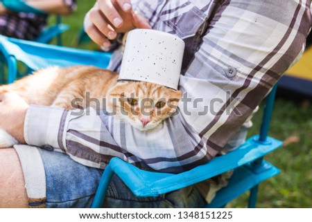 People, tourism and nature concept - Man holding funny cat on nature