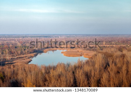 Heartshape Lake in the swamps aerial shot