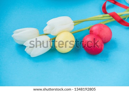 On a blue background Easter composition. White three tulips with three colorful Easter eggs. Religious holiday. View from above