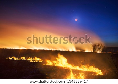 The fire in the field is orange and red hot and dangerous, its flame with heat and poisonous smoke harmful to humans and animals and birds