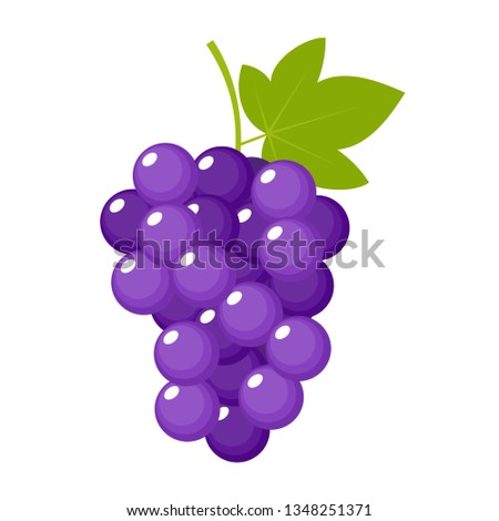 Grapes on a white background isolated. Vector illustration Royalty-Free Stock Photo #1348251371