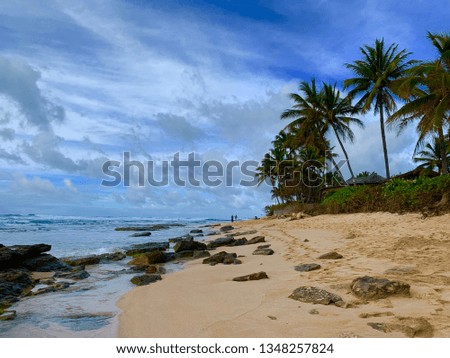Beach with rocks and waves in windy weather on Hawaii North Shore