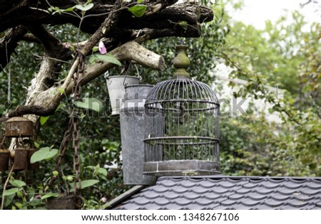 Bird cage empty metal, animals