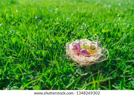 View of a straw nest with colorful Easter eggs decorations on fresh grass or clover field illuminated with morning sun. Happy Easter Holiday background