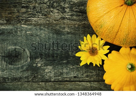 Yellow  pattypan and pumpkins decorated sunflower, summer fresh vegetables on old wooden board