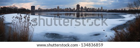 Central Park Panorama in Winter, New York City, with ice lake and ducks