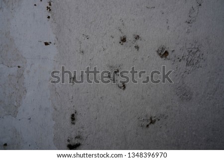 Old White Paint wall texture