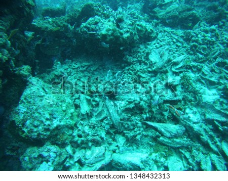 Scuba Diving in Halik Dive Site Gili Trawangan, Indonesia