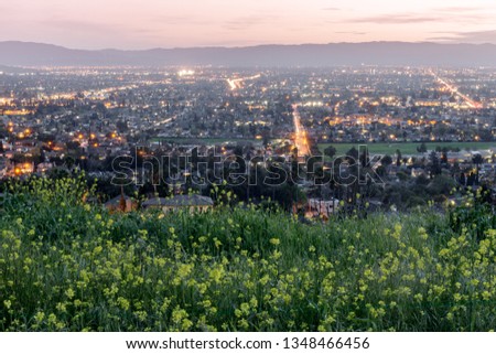 High above Silicon Valley colored with Field Mustards in Spring. Mt Hamilton, Santa Clara County, California, USA.