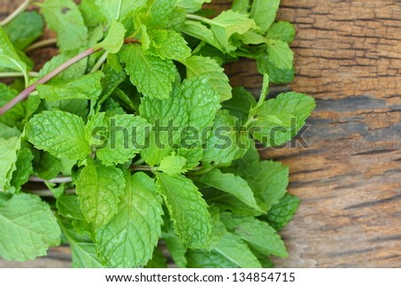 Pepper mint leaves on old wood background Royalty-Free Stock Photo #134854715