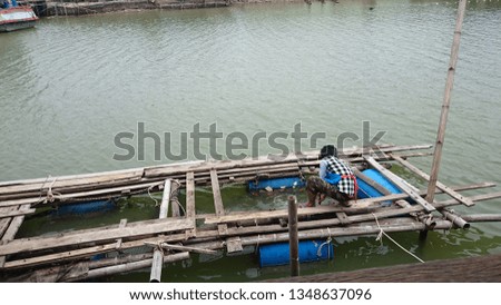 Fish farming in Thailand