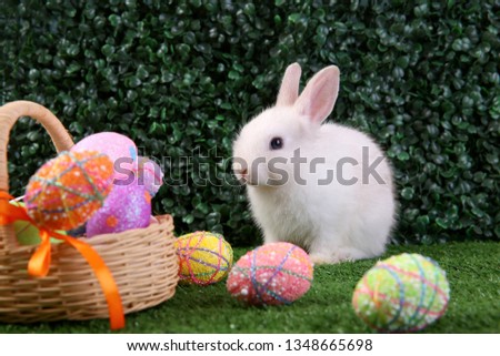 Easter bunny rabbit white with painted egg in the wooden basket on green grass background. Easter holiday concept.