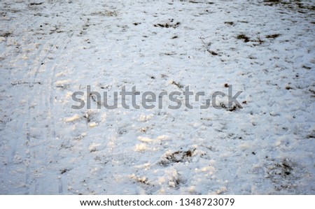 Ground covered snow with footprints and tracks