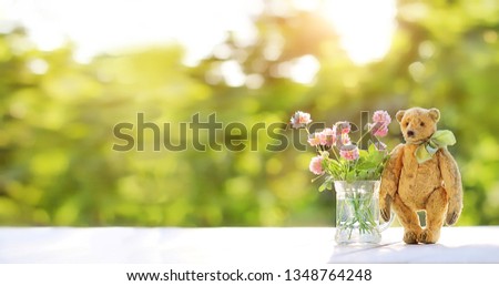 Cute toy teddy bear with clover flowers on table in garden, green natural background. mother's day, birthday greeting card concept. copy space. banner