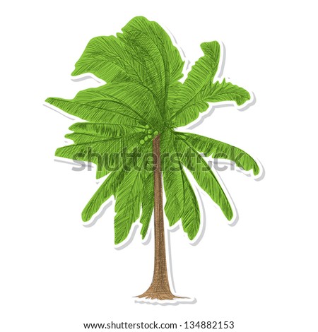 Coconut tree - Hand drawn