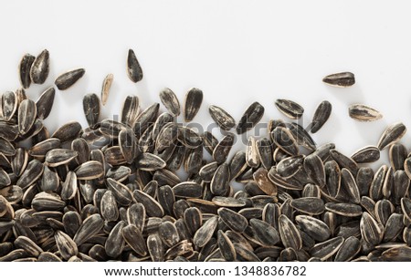 Picture of sunflower black seeds on white background close up 