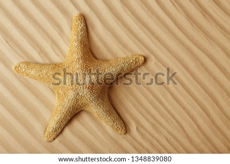 Starfish on beach sand, top view. Space for text