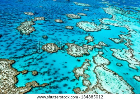 The Great Barrier Reef in Queensland, Australia. Royalty-Free Stock Photo #134885012