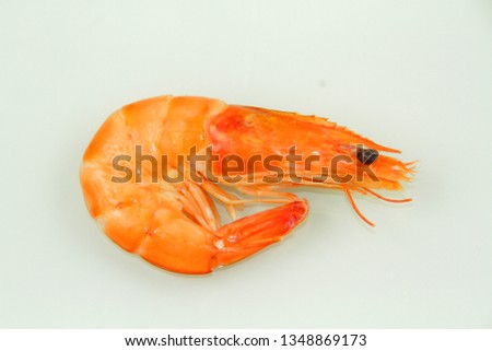 pink shrimp on a white background
