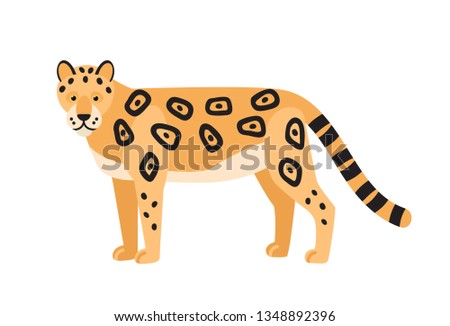 Leopard isolated on white background. Gorgeous wild exotic carnivorous animal. Graceful large wild cat or adorable felid with spotted coat. Colorful vector illustration in flat cartoon style.