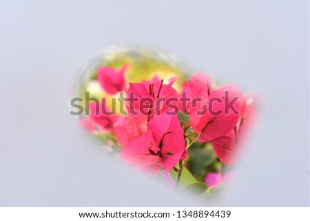tropical colorful blooming paper flowers on blurry background frame