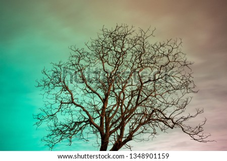 silhouette of the only tree in the night with green horror background