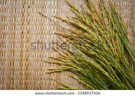 rice plant on the Reed mat background