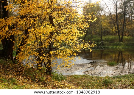 Autumn landscape with a river in Moscow park