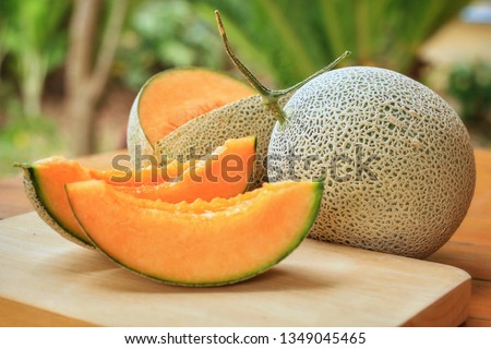 Whole and sliced of Japanese melons,honey melon or cantaloupe (Cucumis melo) on wooden table with blurred garden background.Favorite fruit in summer.Food,Fruits or healthcare concept. Royalty-Free Stock Photo #1349045465