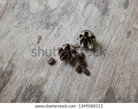 coffee beans and dried flower on wood background