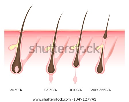 TELOGEN Stock Vector Images - Avopix.com