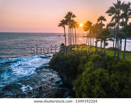 beach sunset with palm trees and splashing waves