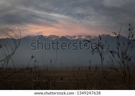 A picture at the National park of Kerkini lake in Serres during sunset 
