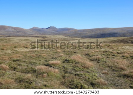 scottish highland textures Royalty-Free Stock Photo #1349279483