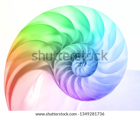 Nautilus Pompilius in colors of the rainbow Royalty-Free Stock Photo #1349281736