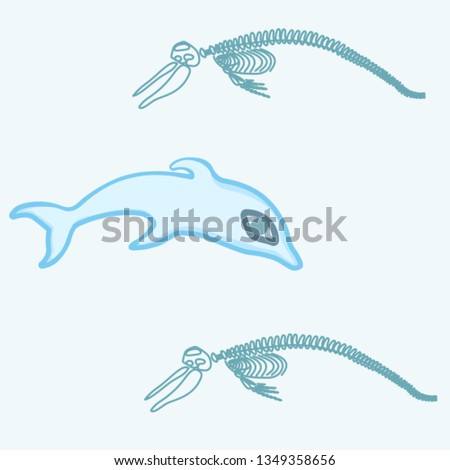Dolphin and sceleton ecology hystory vector pattern