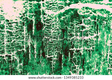 Abstract tree bark textured green filter background 