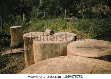 Many log cutting
