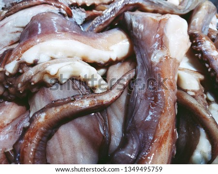 close up raw squid at the supermarket
